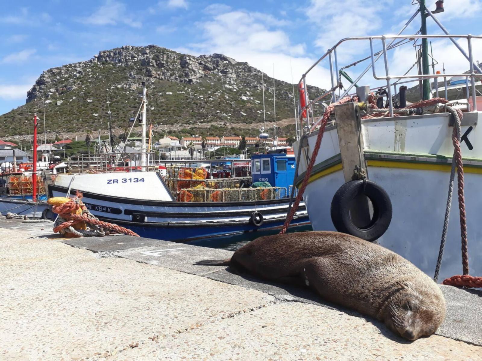 Nearby landmark