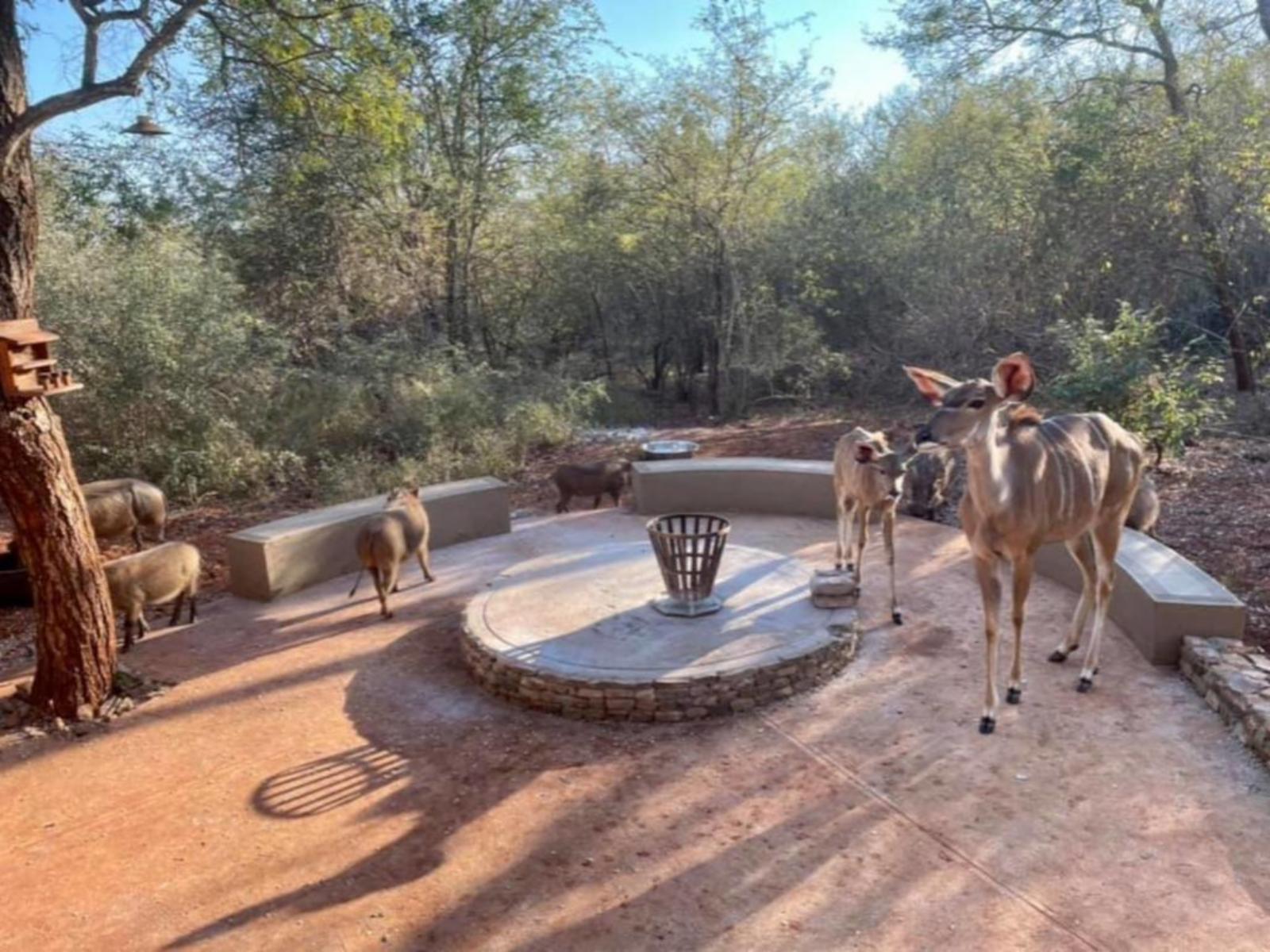 Braai/BBQ facilities
