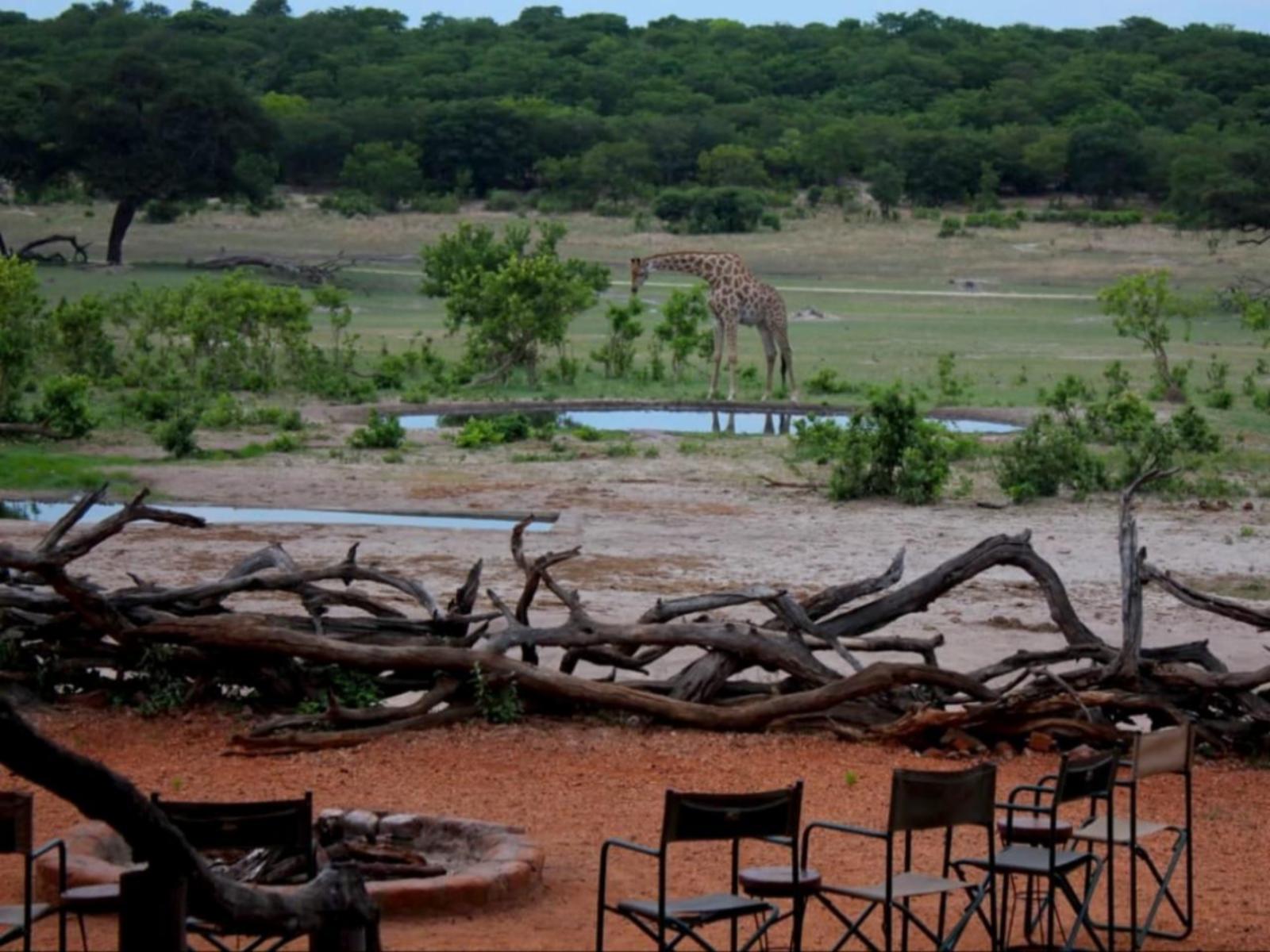 Braai/BBQ facilities