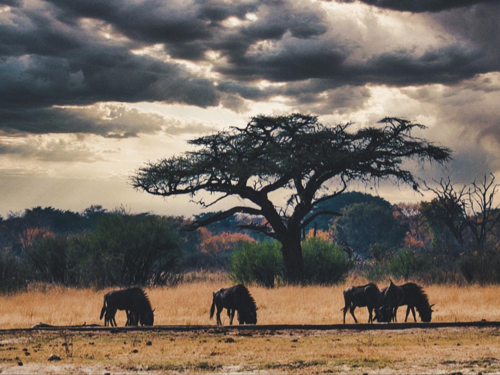 Natural landscape