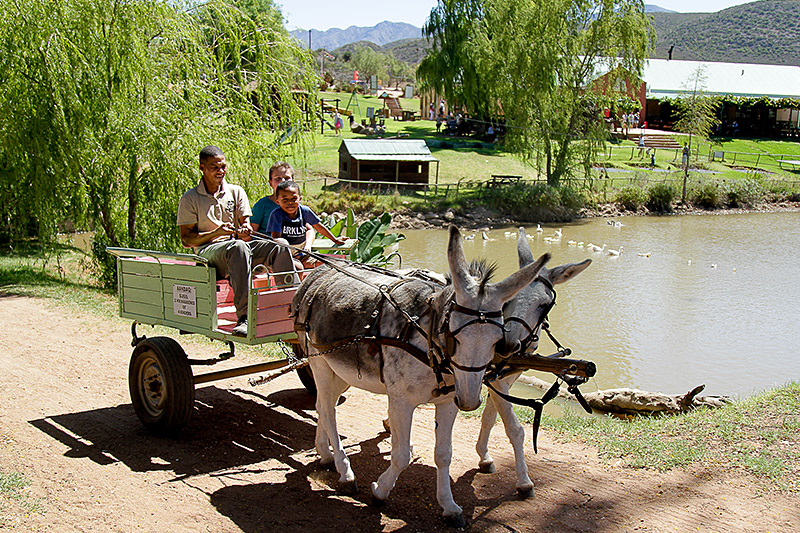 Wilgewandel Holiday Farm