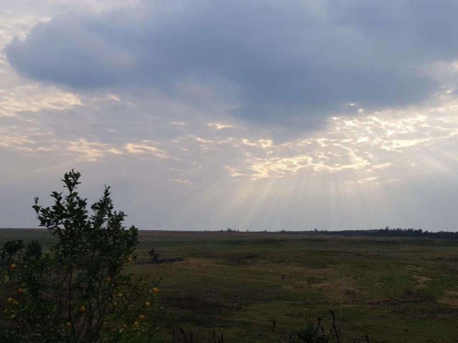 Natural landscape