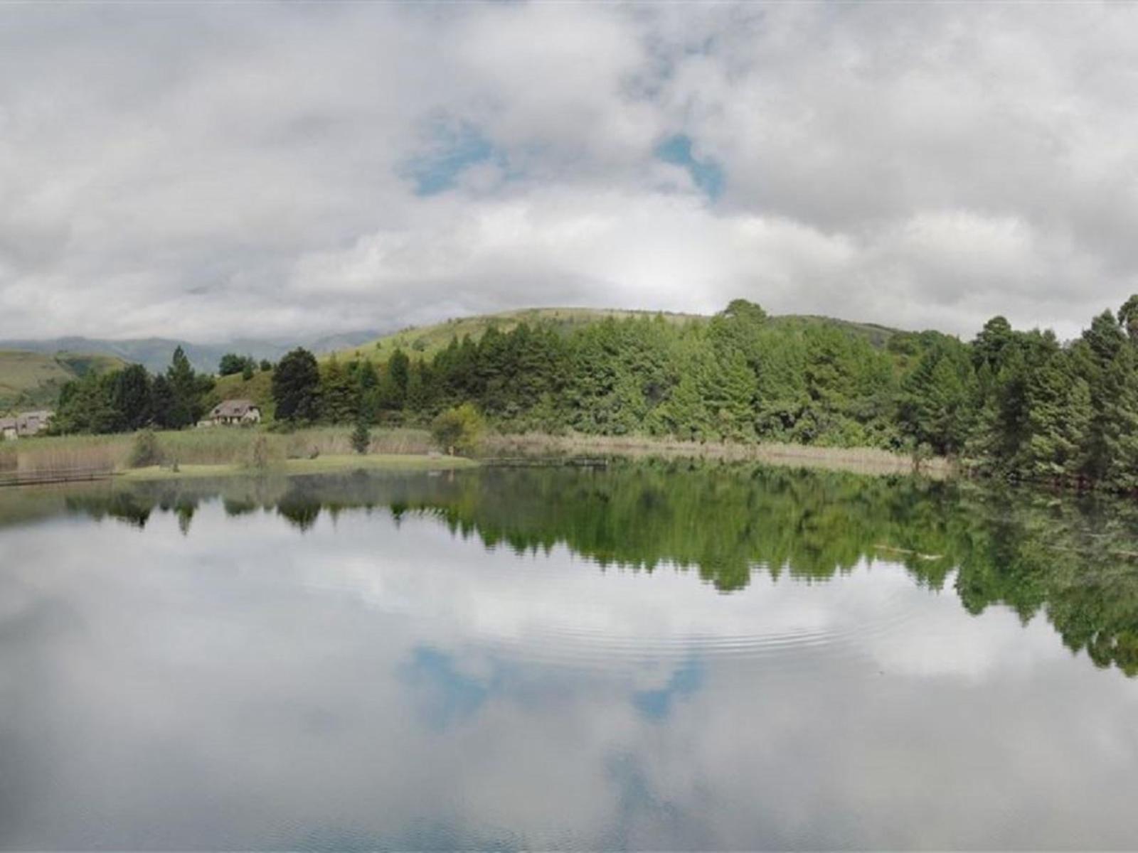 Lake view