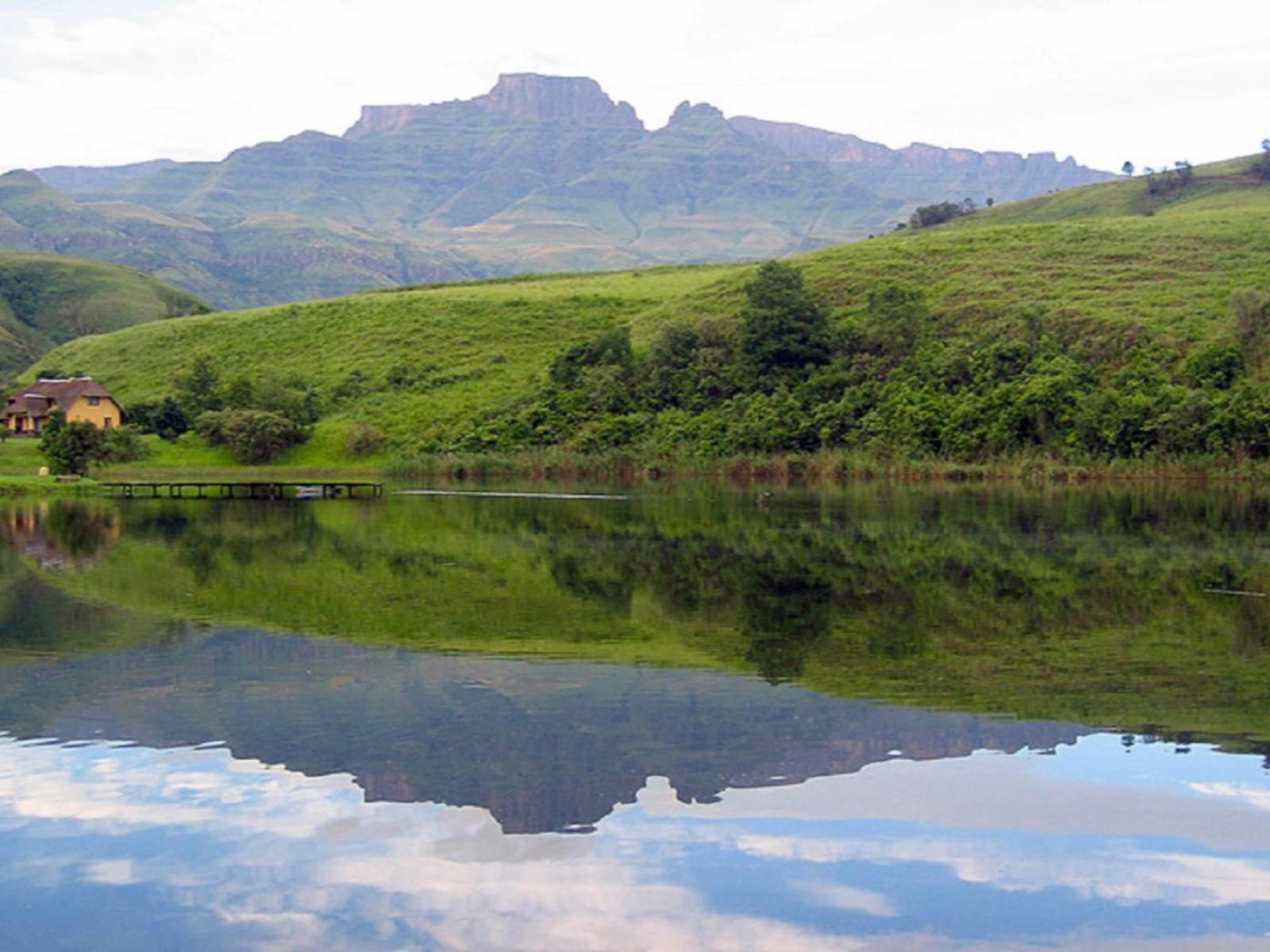 Lake view