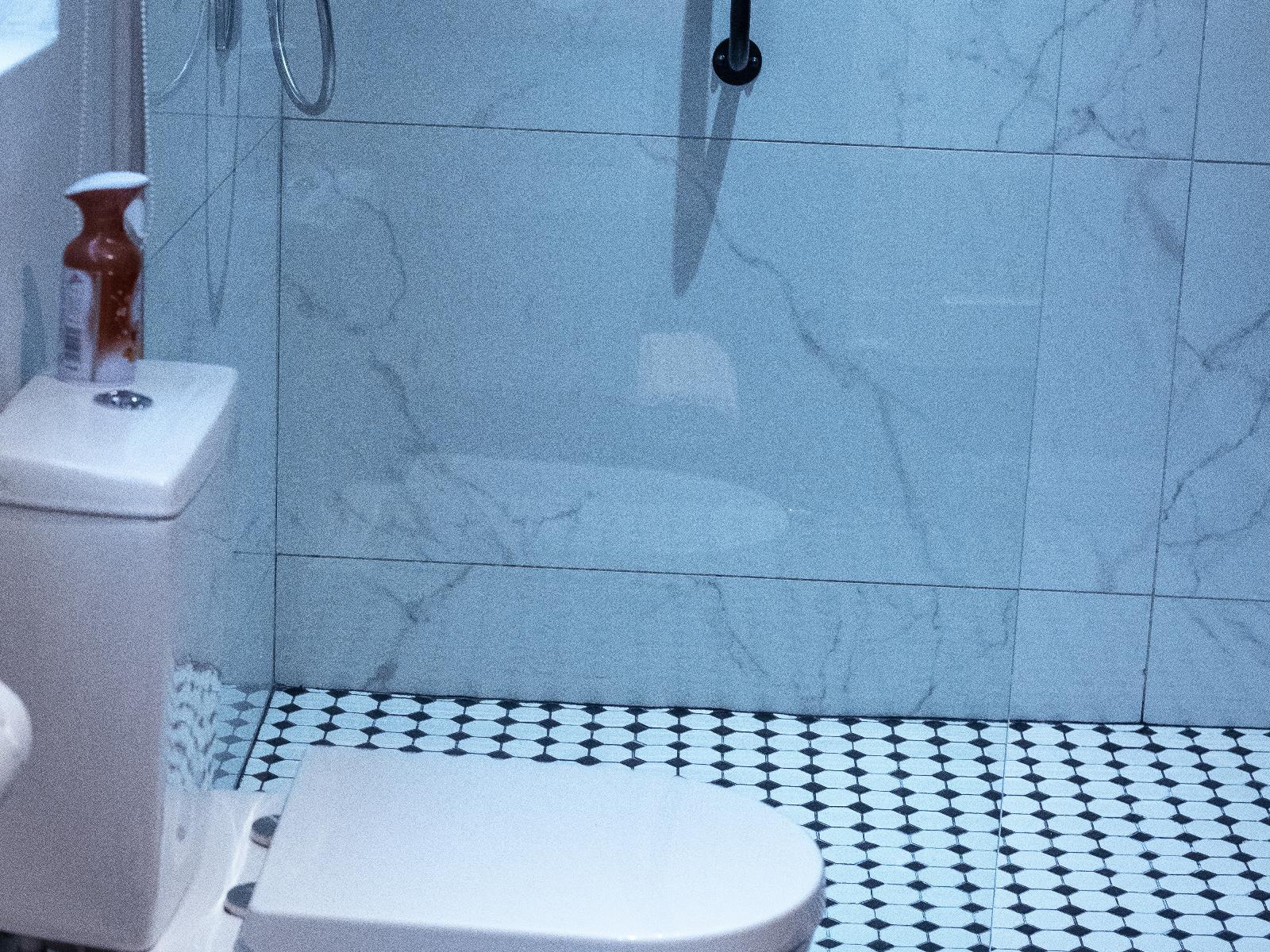 Room 2 — Shower