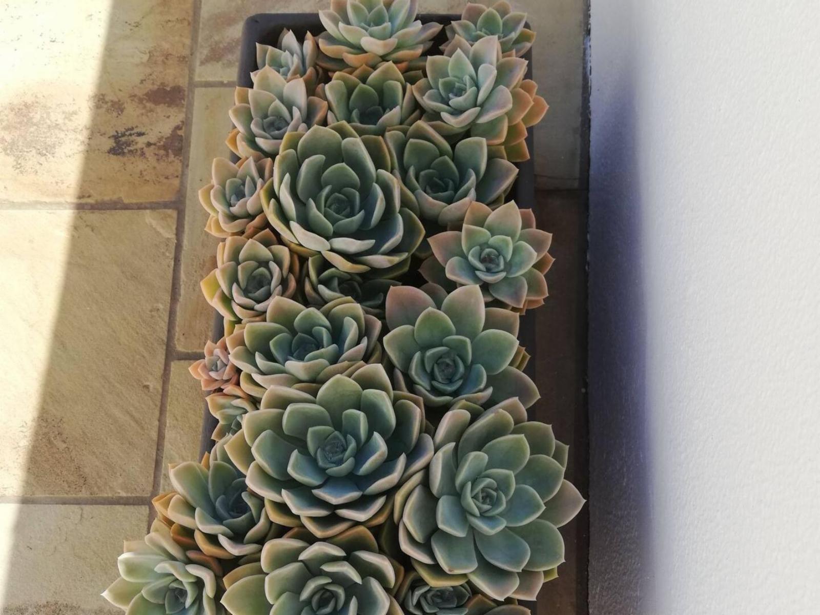 Decorative detail