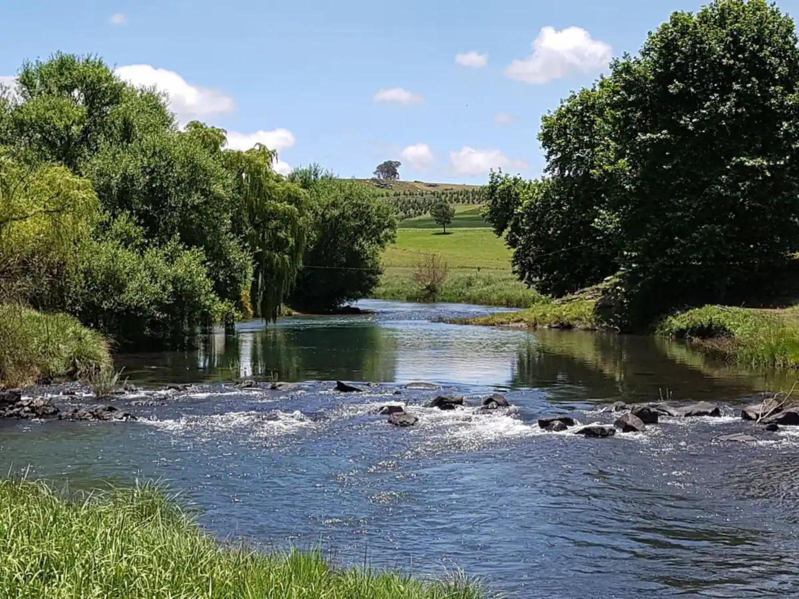 River view