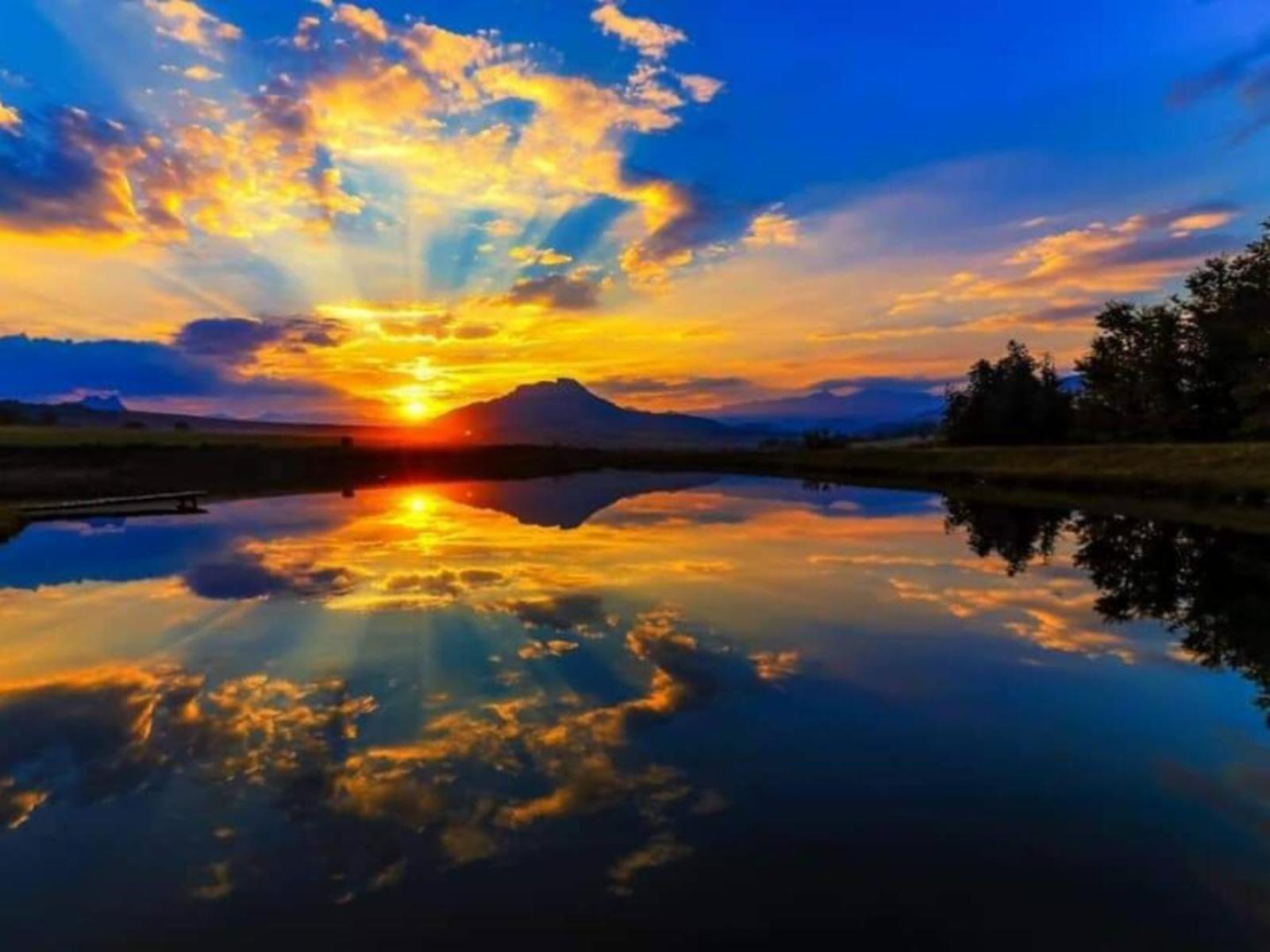 Lake view