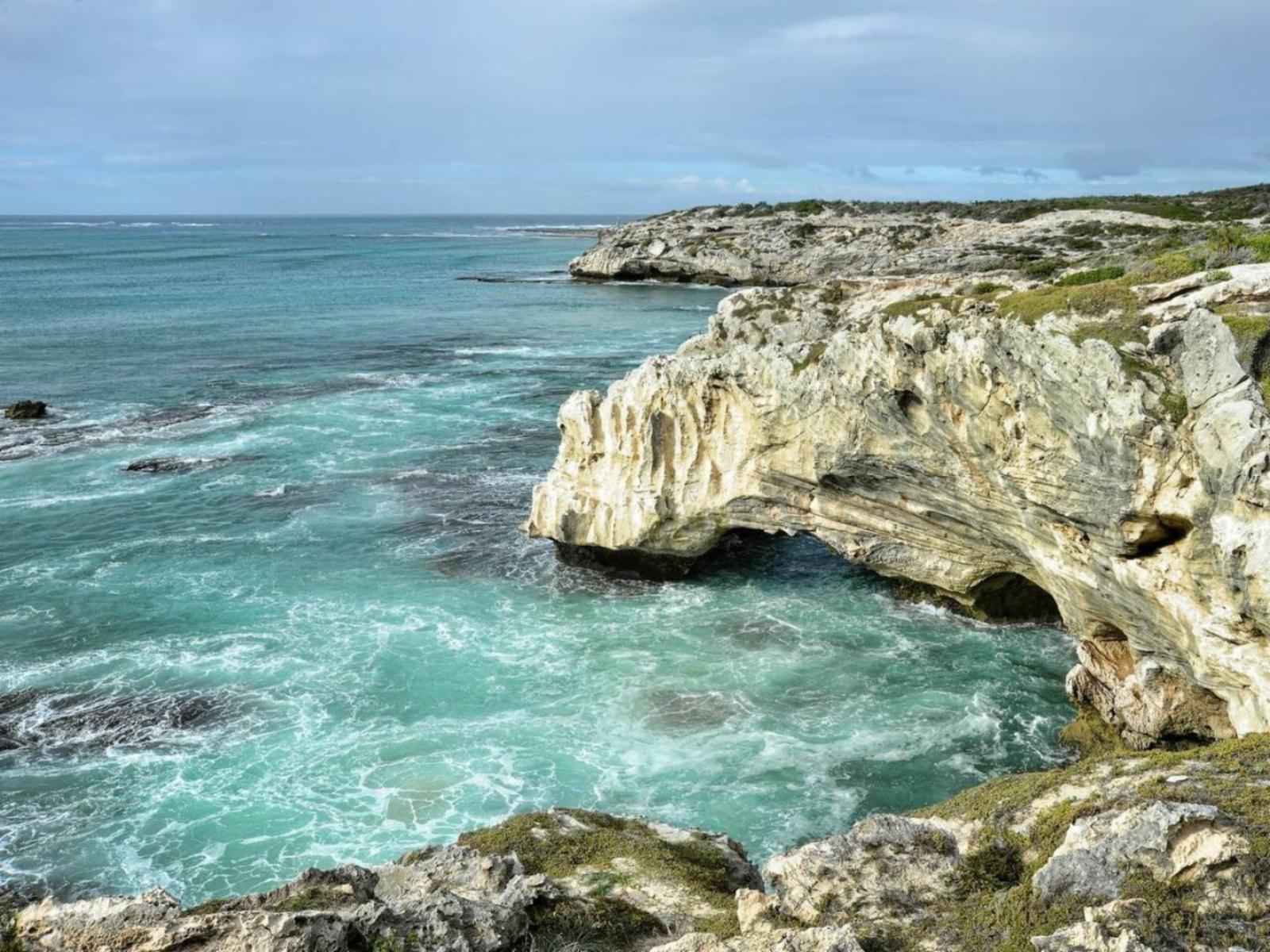Natural landscape