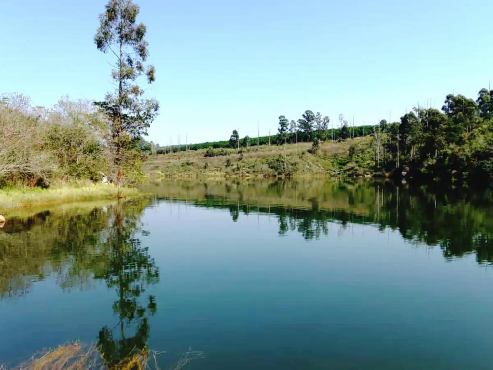 Lake view
