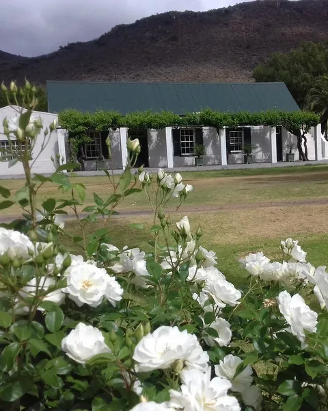 White roses in foreground historic building with green roof and mountains in background