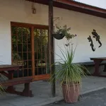 Wooden door with glass panels potted plant and outdoor seating area