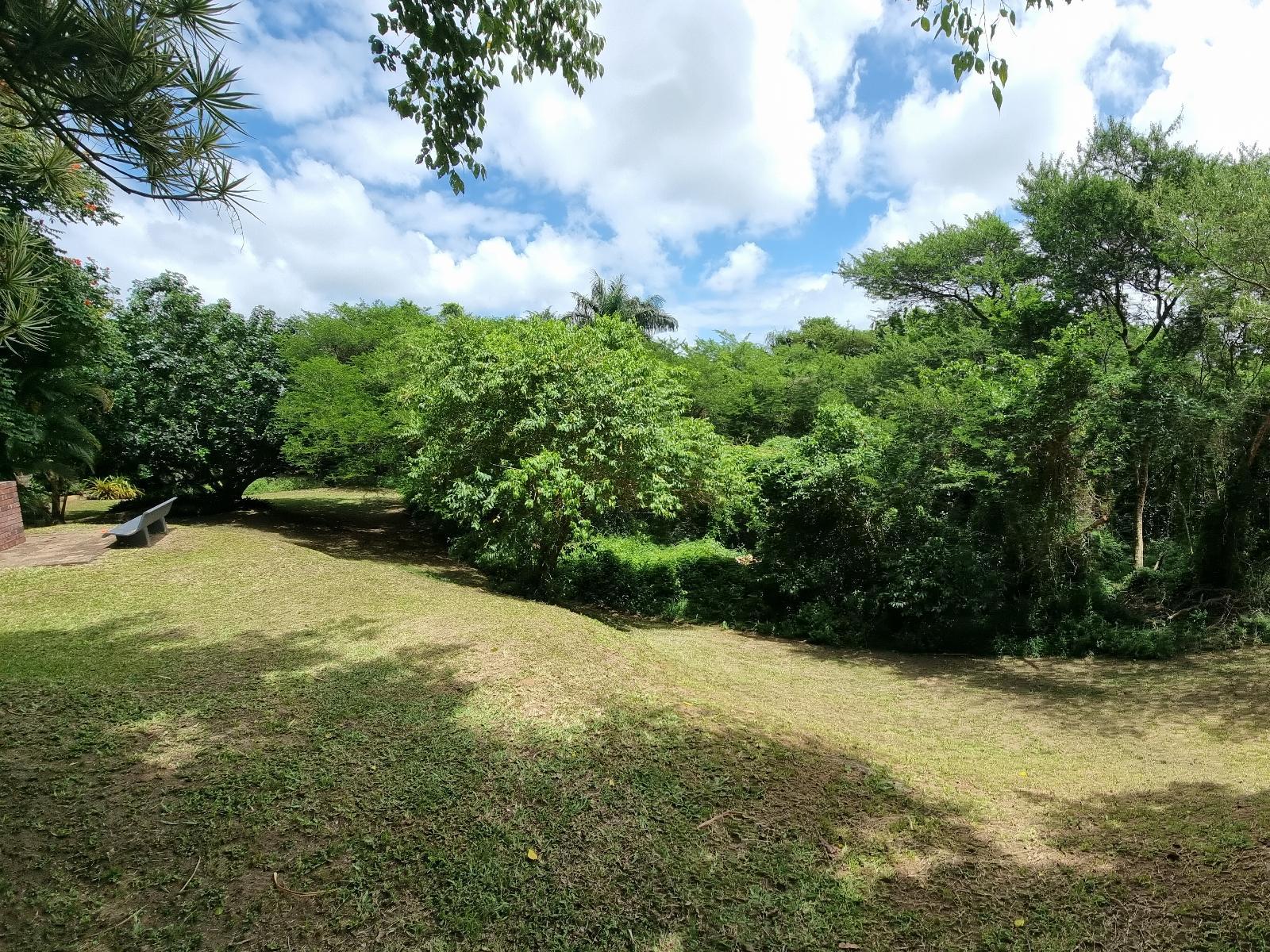 Garden view