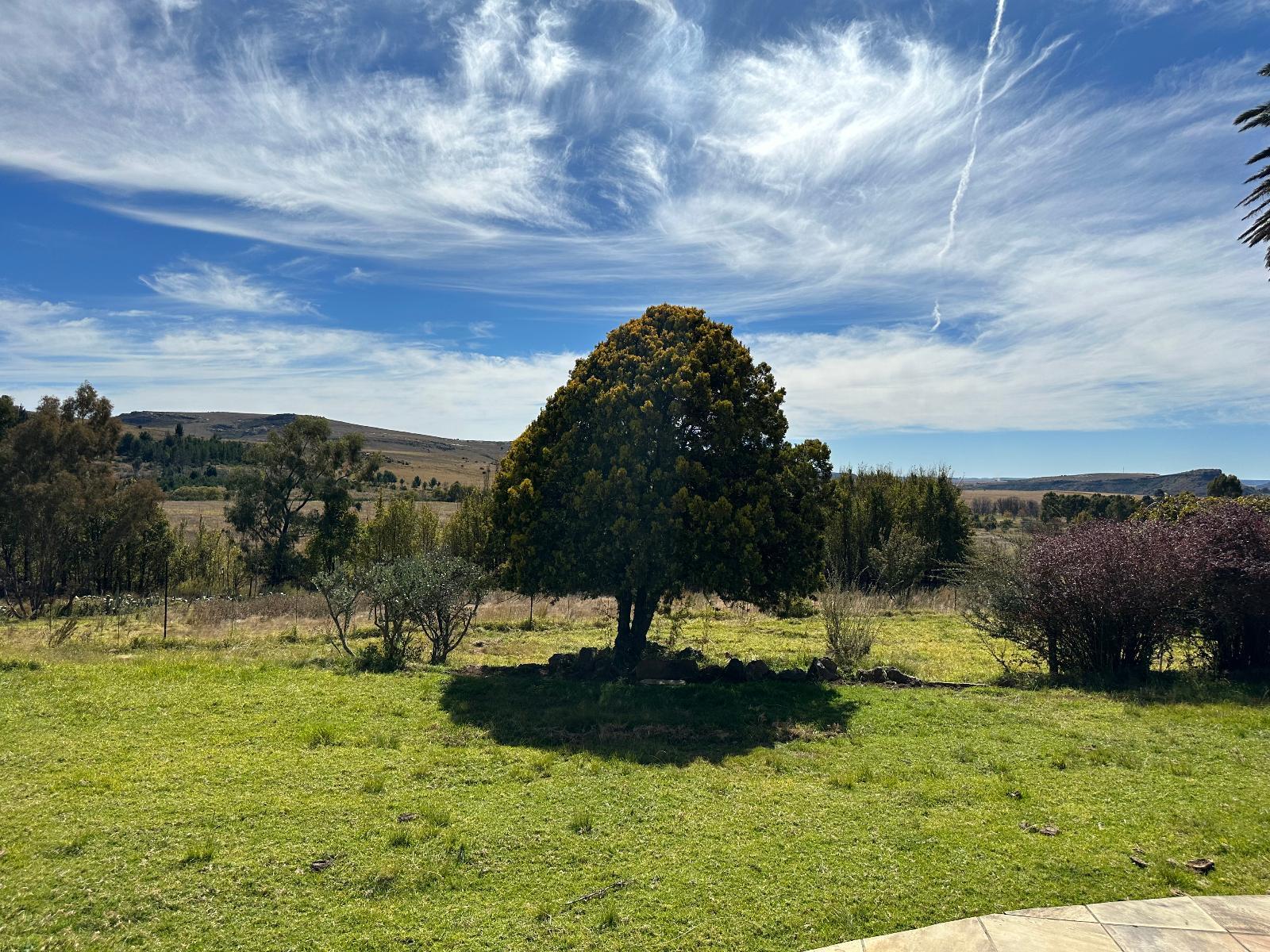 Natural landscape
