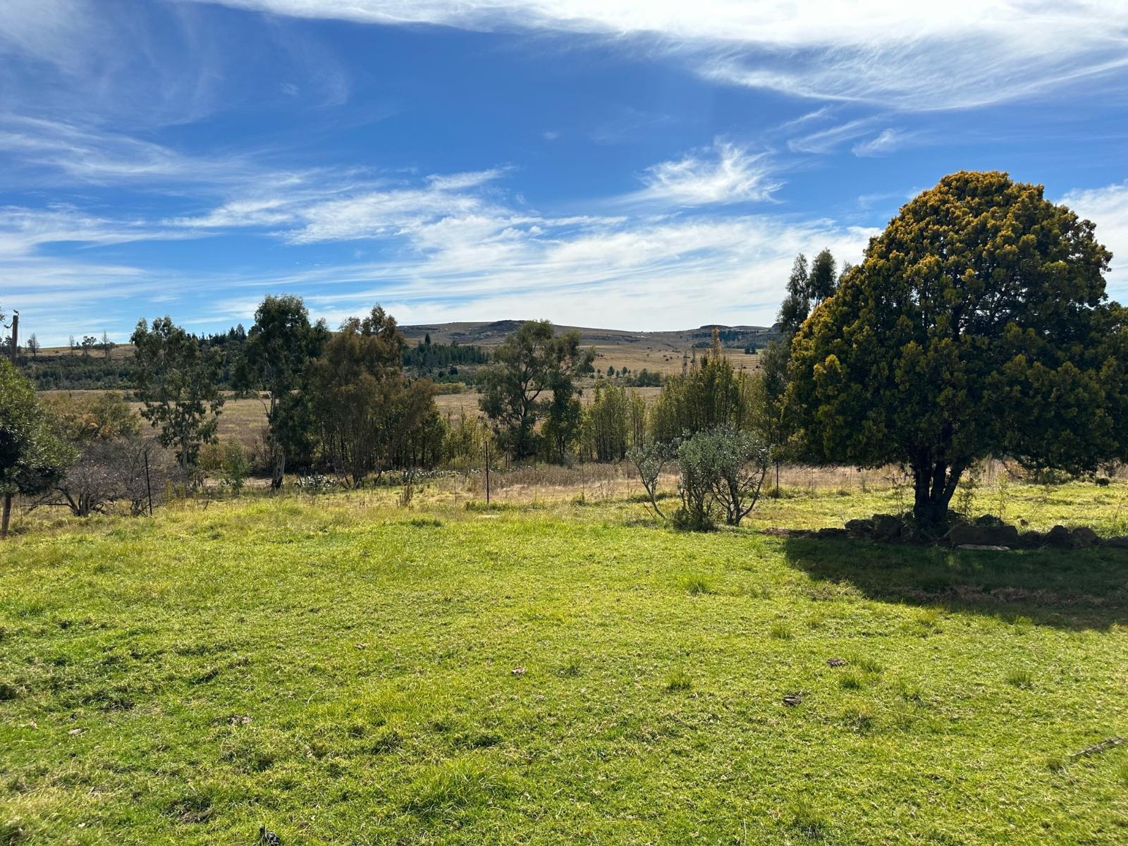 Natural landscape