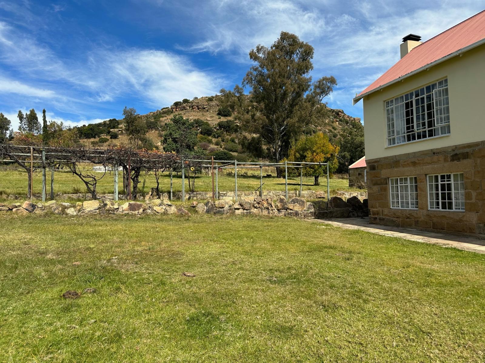 Garden view