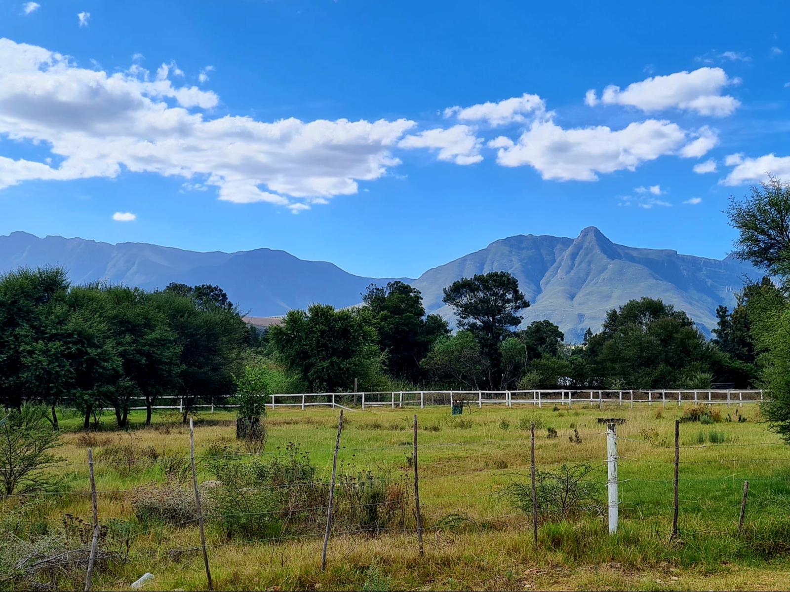 Blue Mountain Farm Lodge