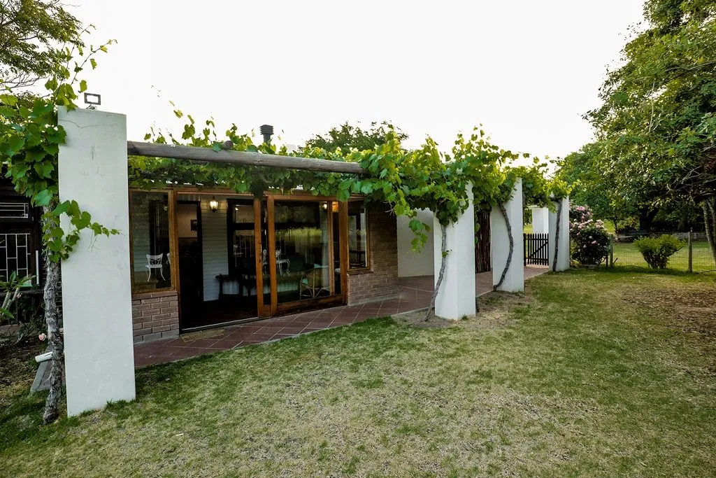 House with large windows and vinecovered pergola in a grassy garden