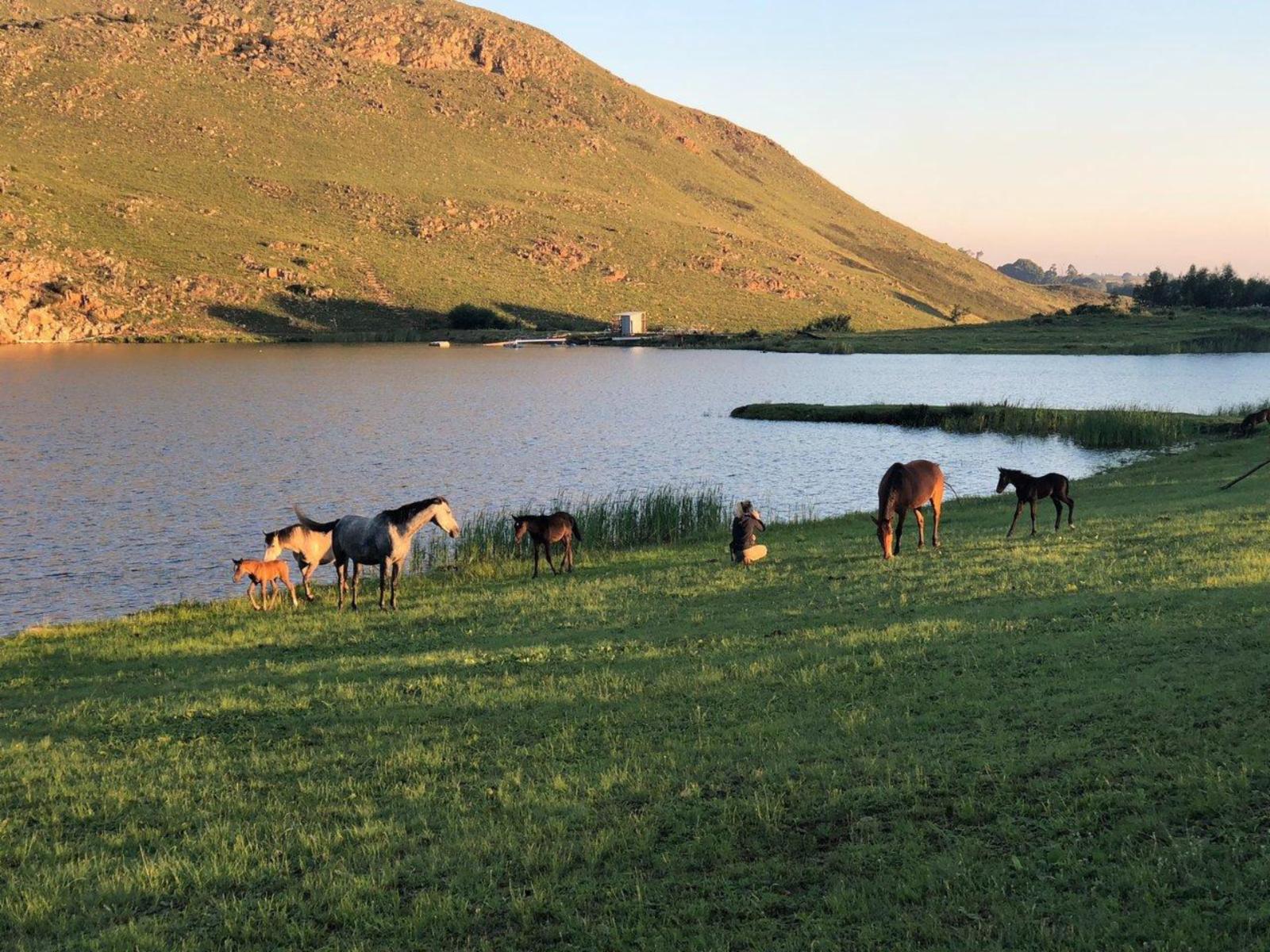 Natural landscape