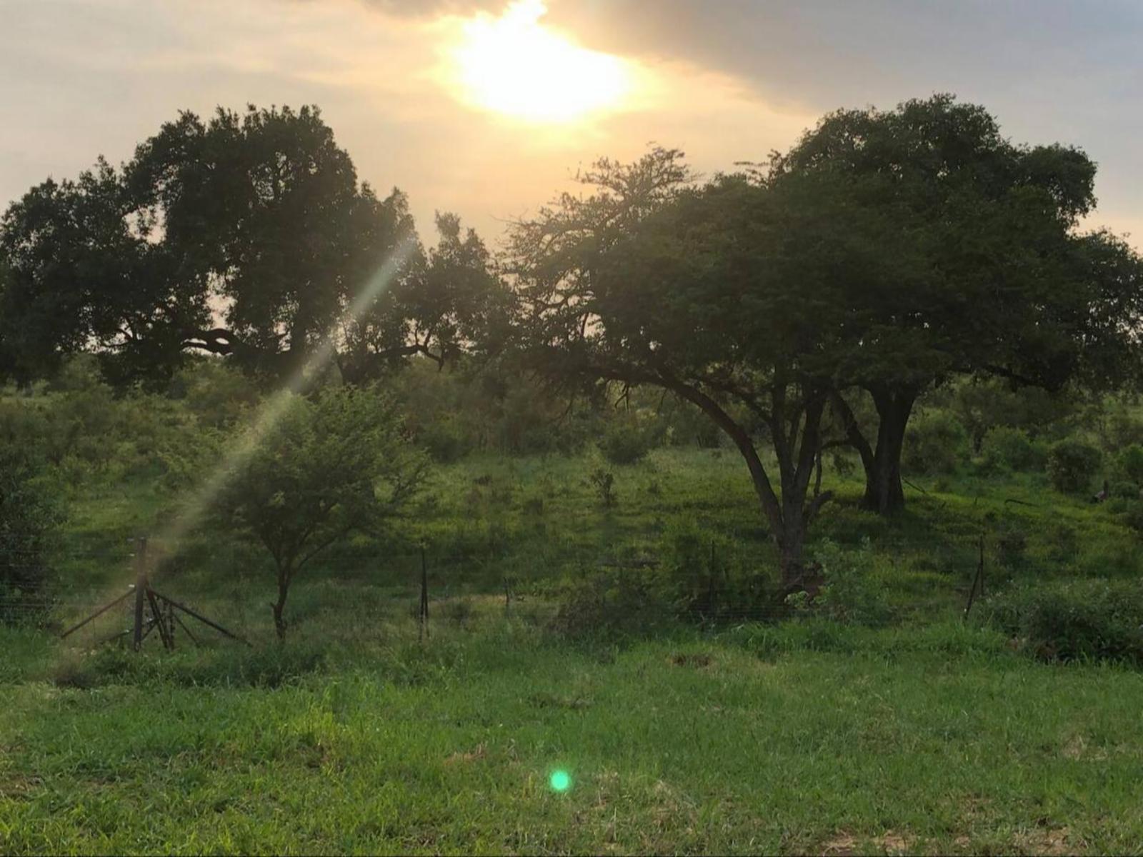 Natural landscape