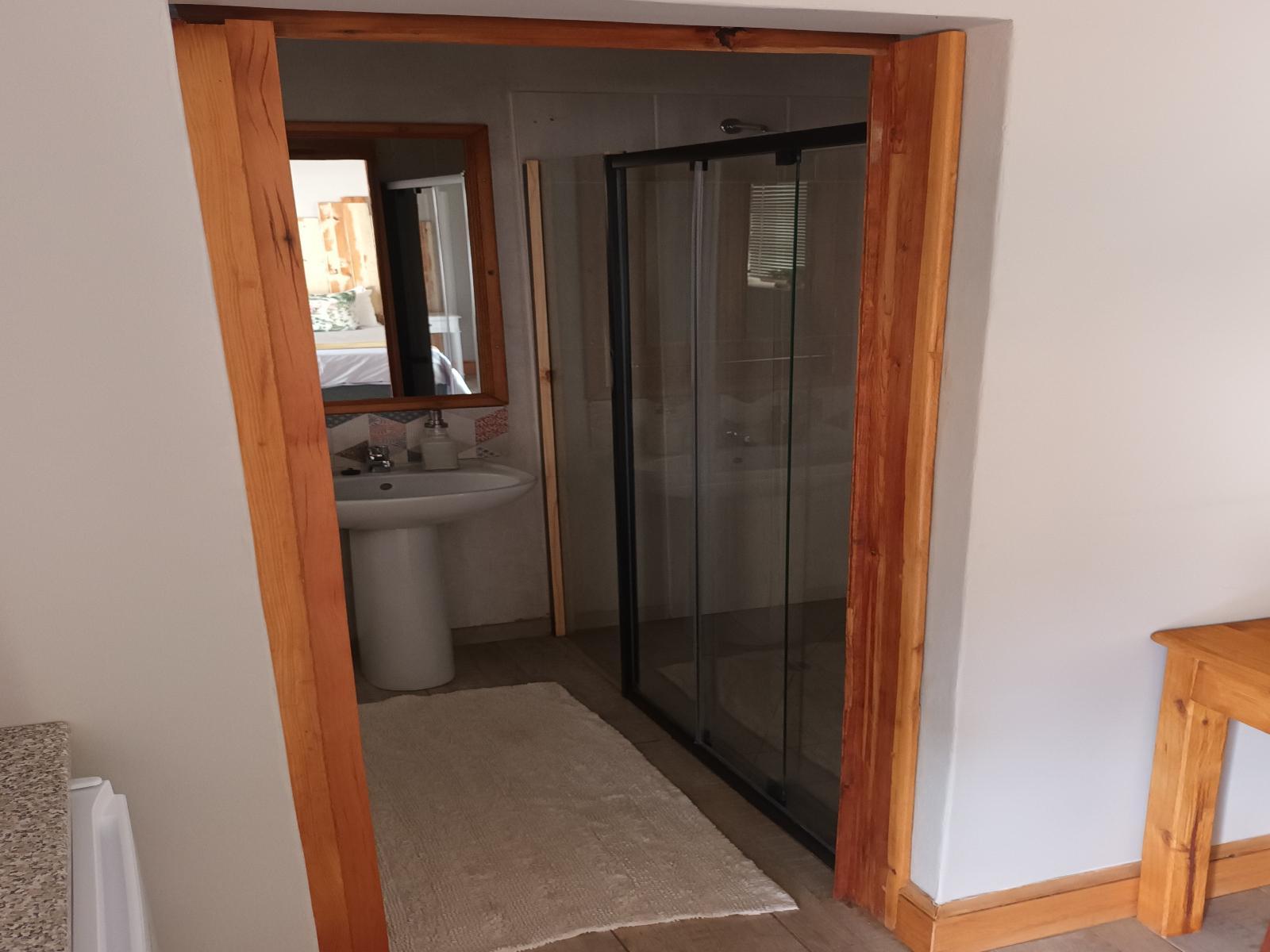 Room 1 — Shower
