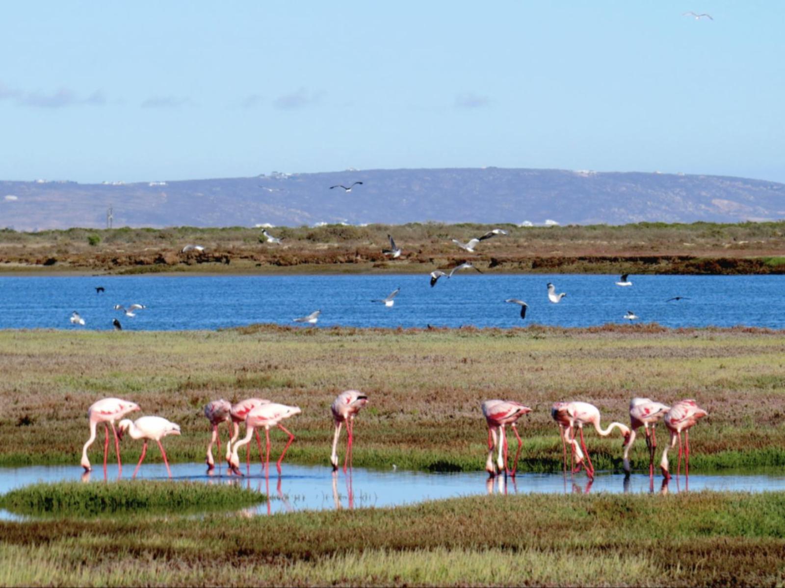 Natural landscape