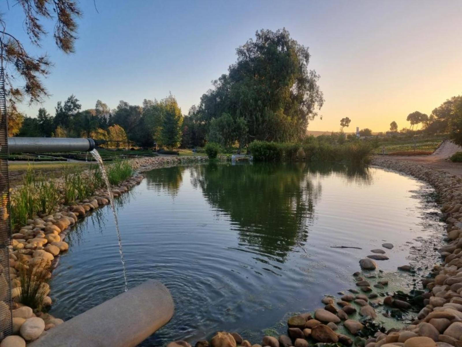 Lake view