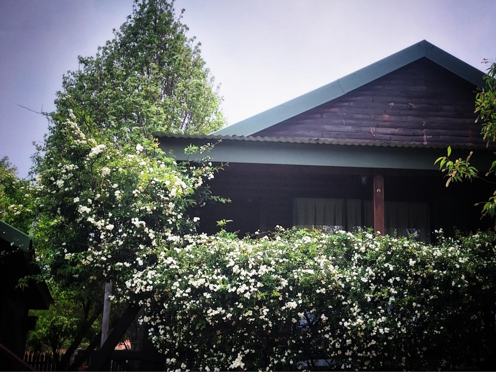 Property / Building