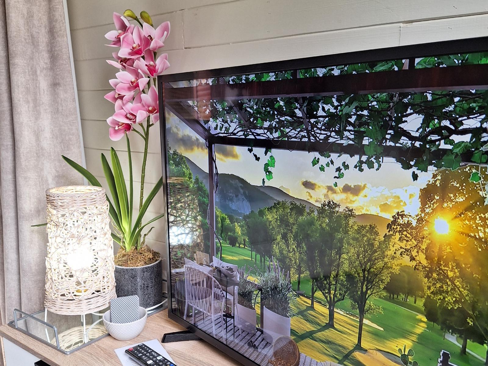 Room 1 — TV and multimedia