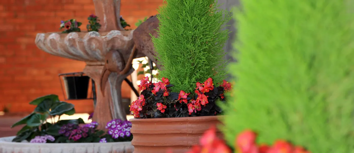 Decorative fountain with potted plants and flowers in a garden setting