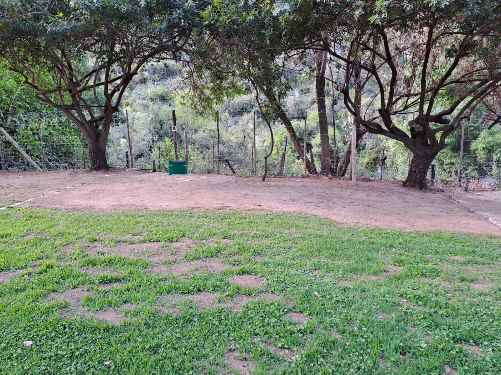 Room 1 — View (from property/room)