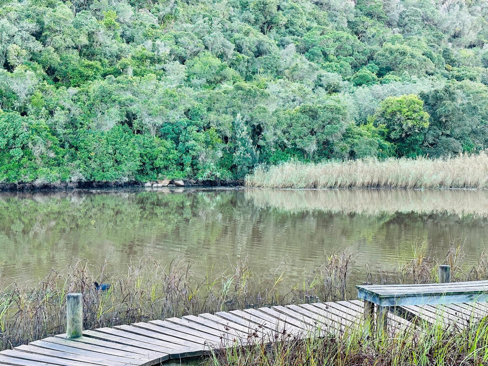 River view