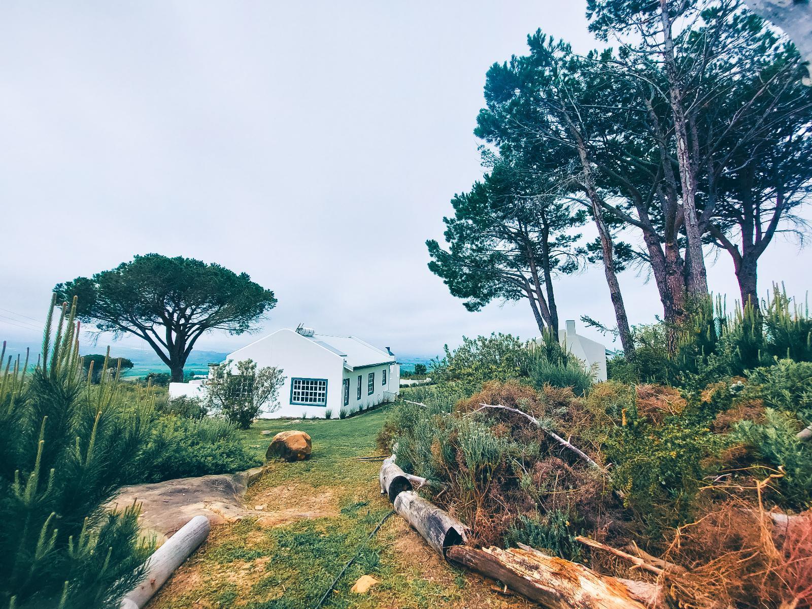 Property / Building