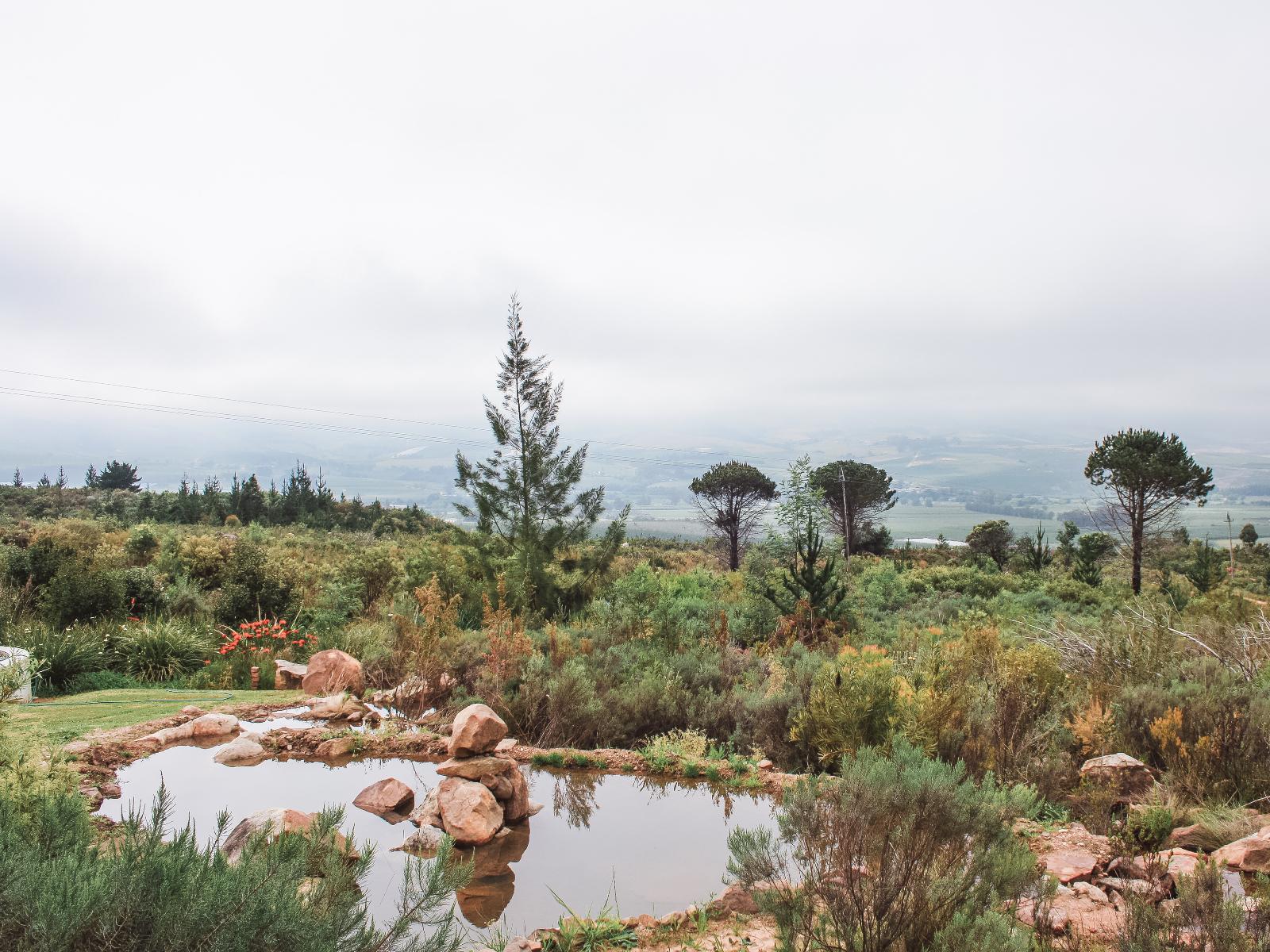 Natural landscape