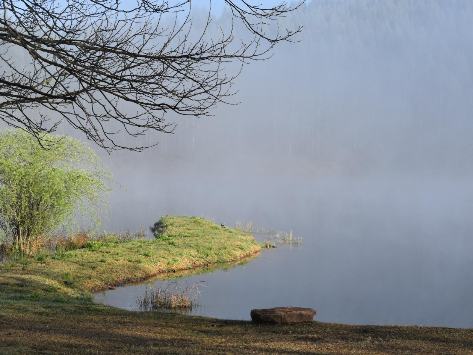 Lake view