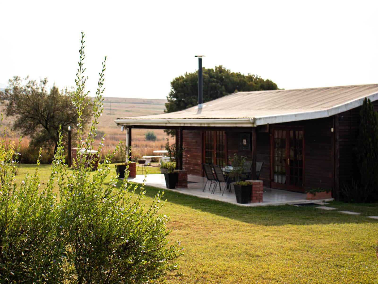 Room 1 — Patio