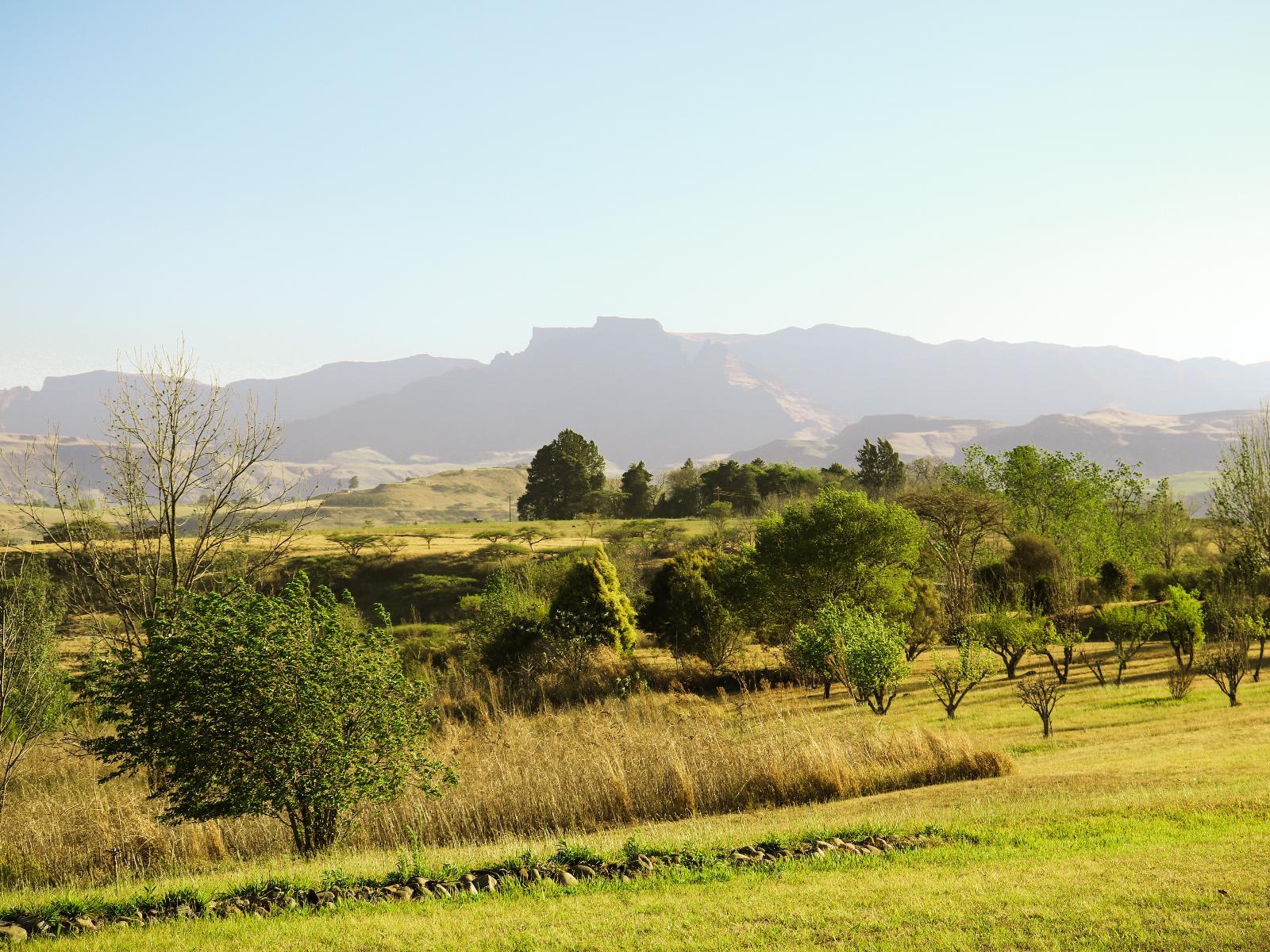 Tranquility Self Catering Farm Stay