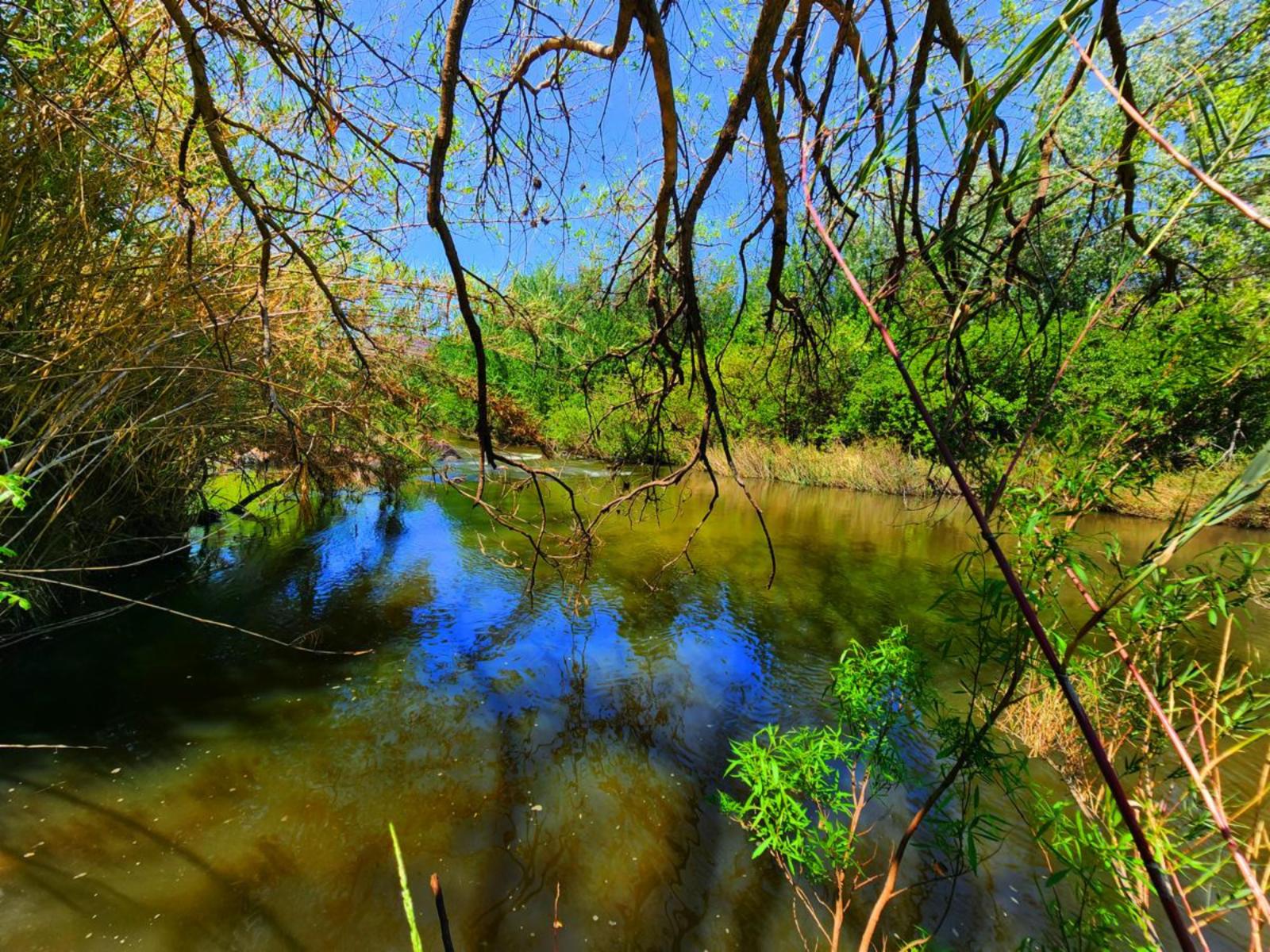 River view