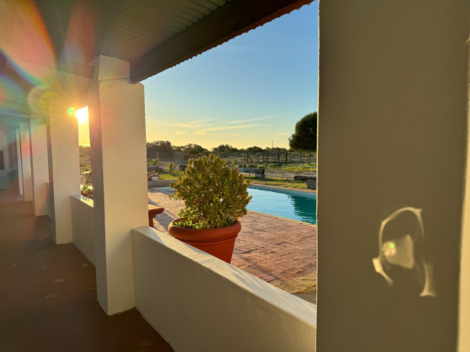 Pool view