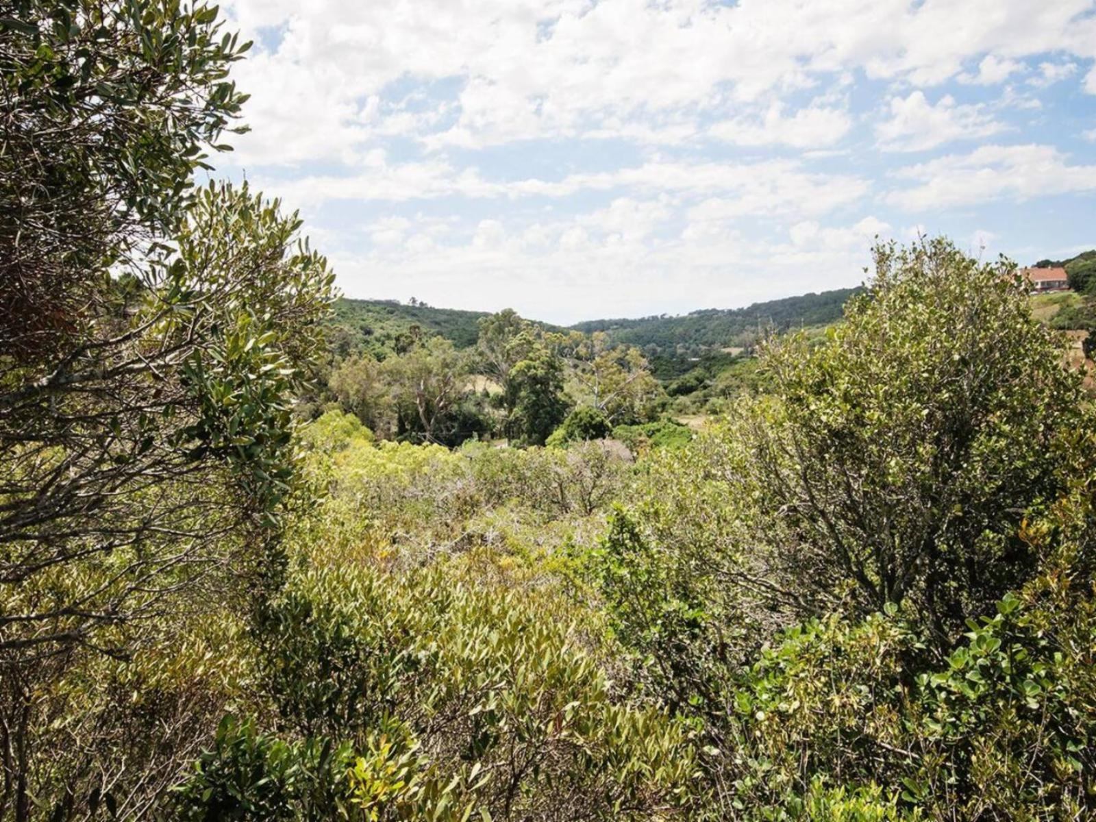 Natural landscape
