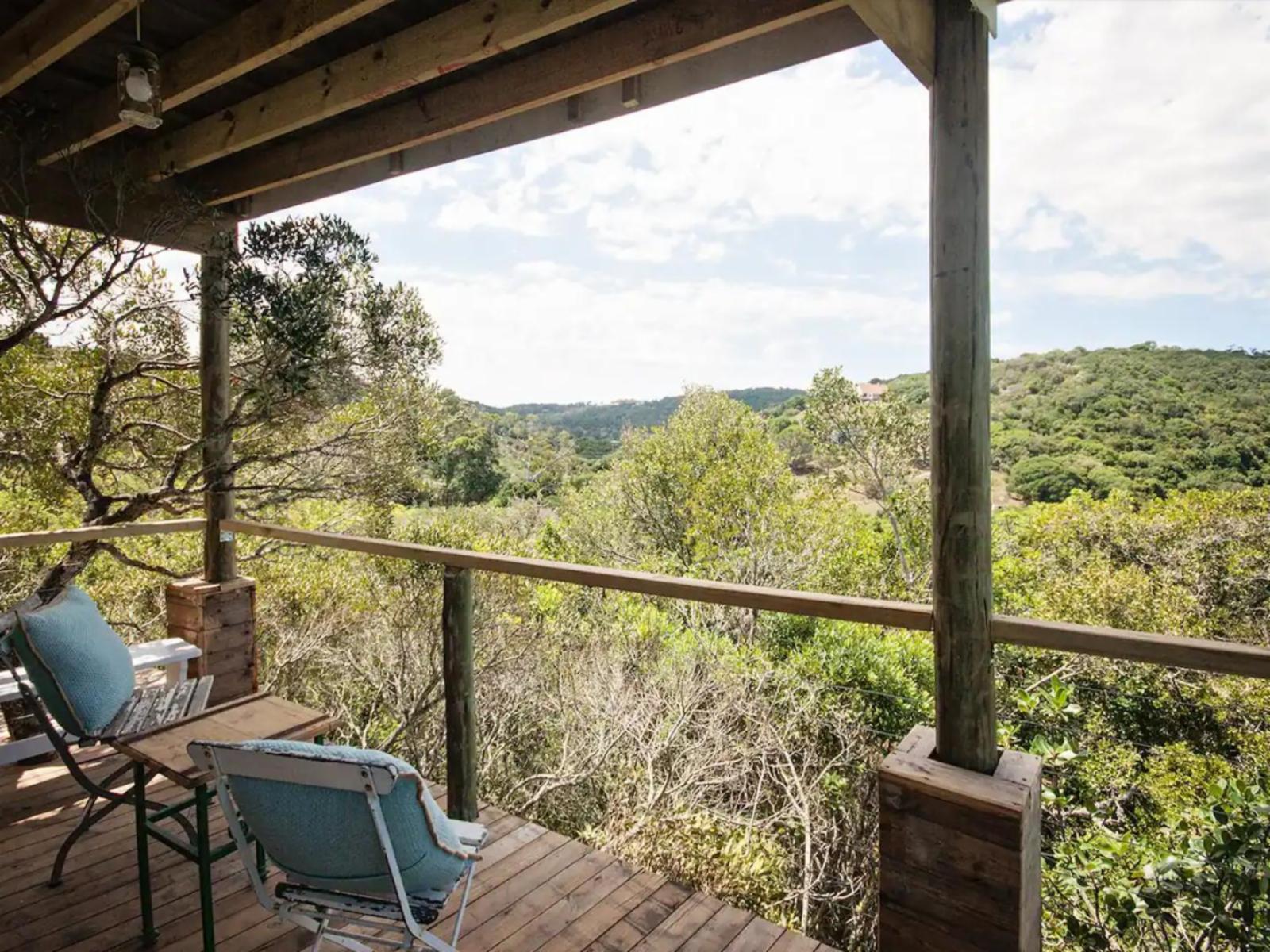 Room 1 — View (from property/room)