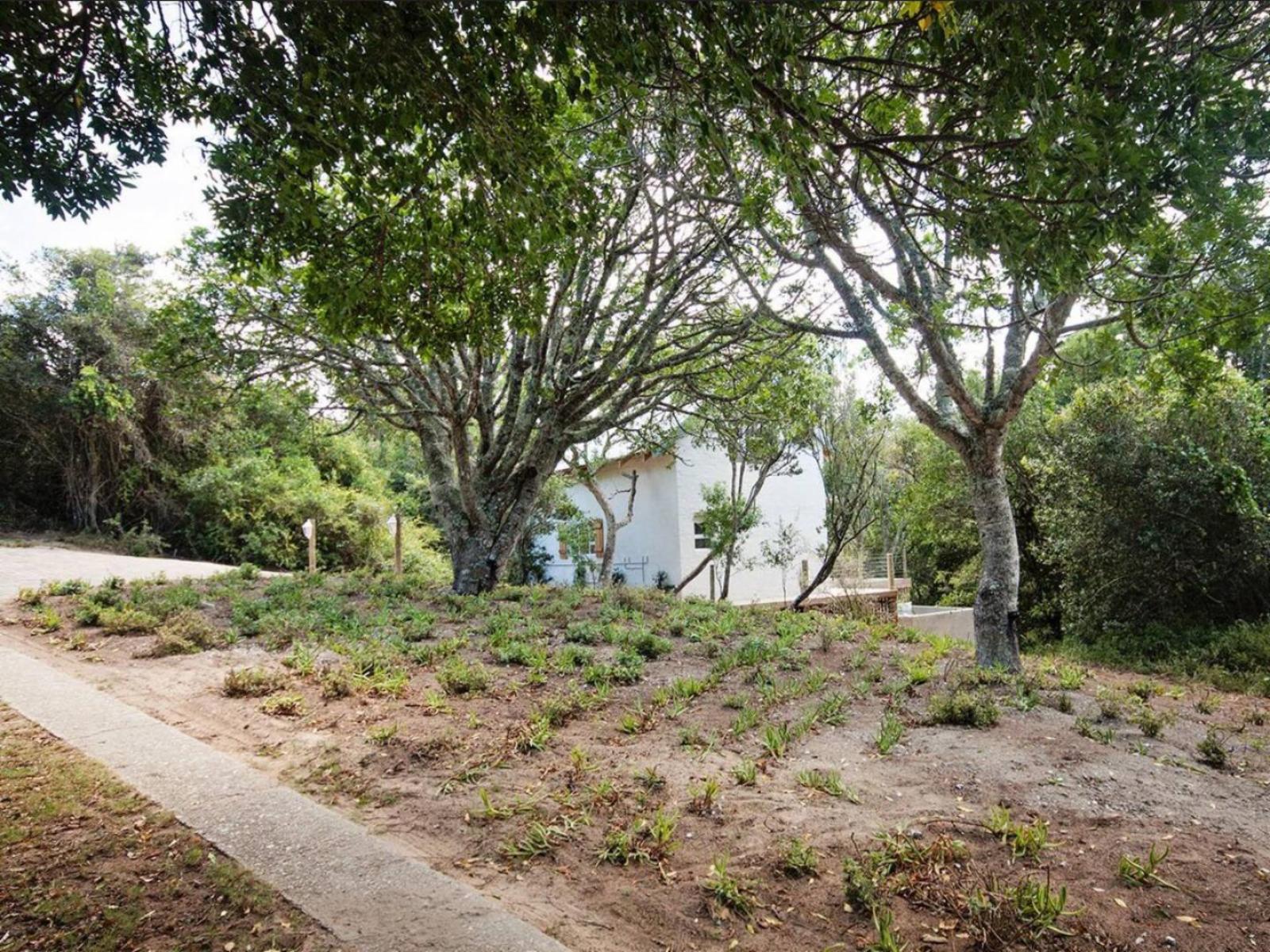 Property / Building
