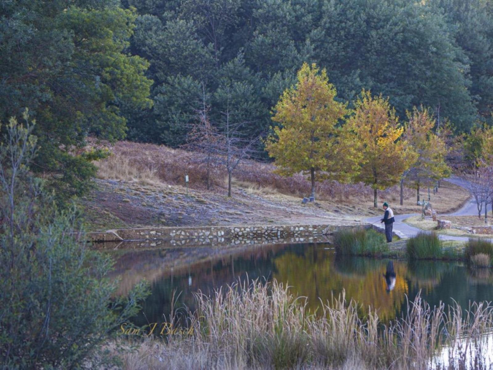 Natural landscape
