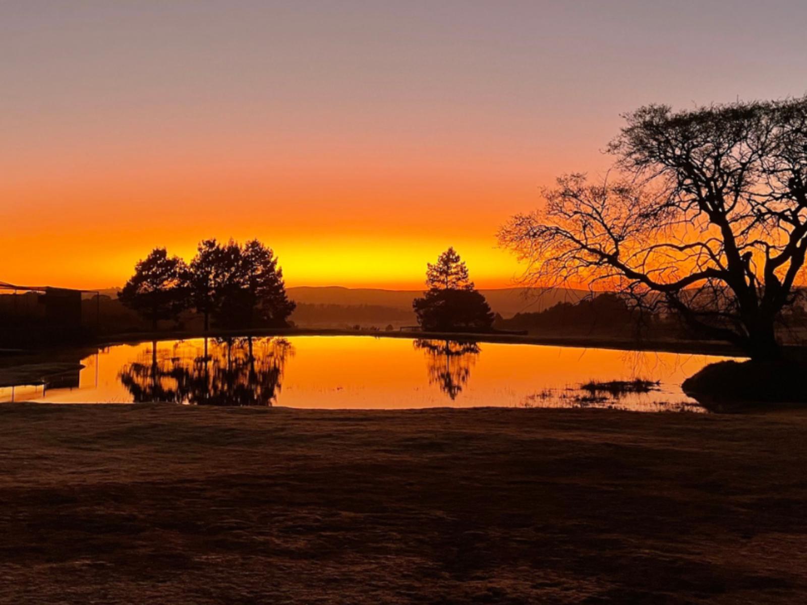 Natural landscape