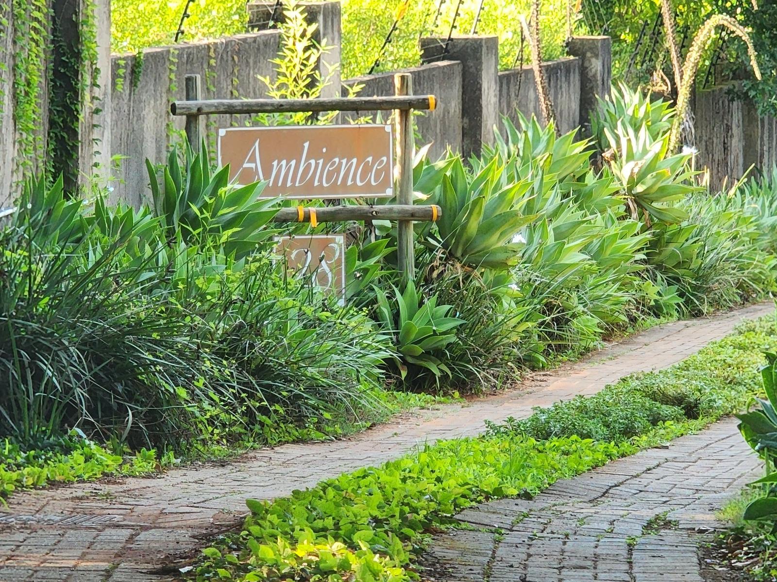 Ambience Inn