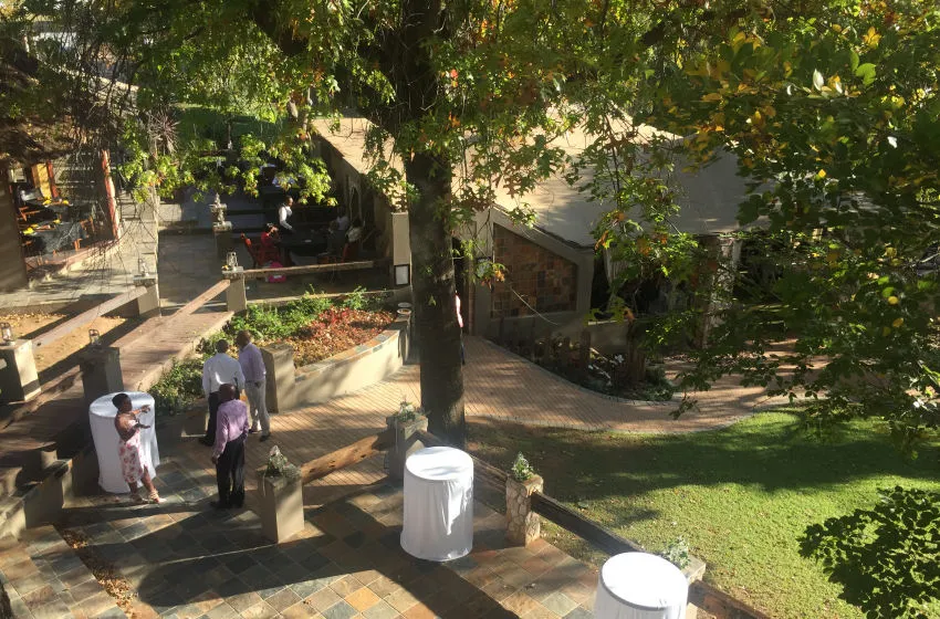 Outdoor event setup with round tables and people under large trees