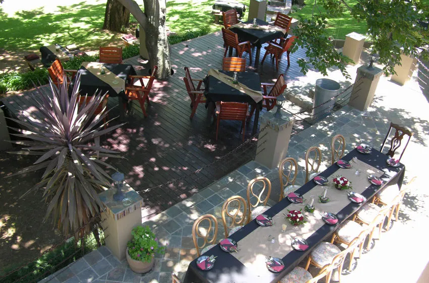 Outdoor dining area with set tables and chairs under trees on a patio
