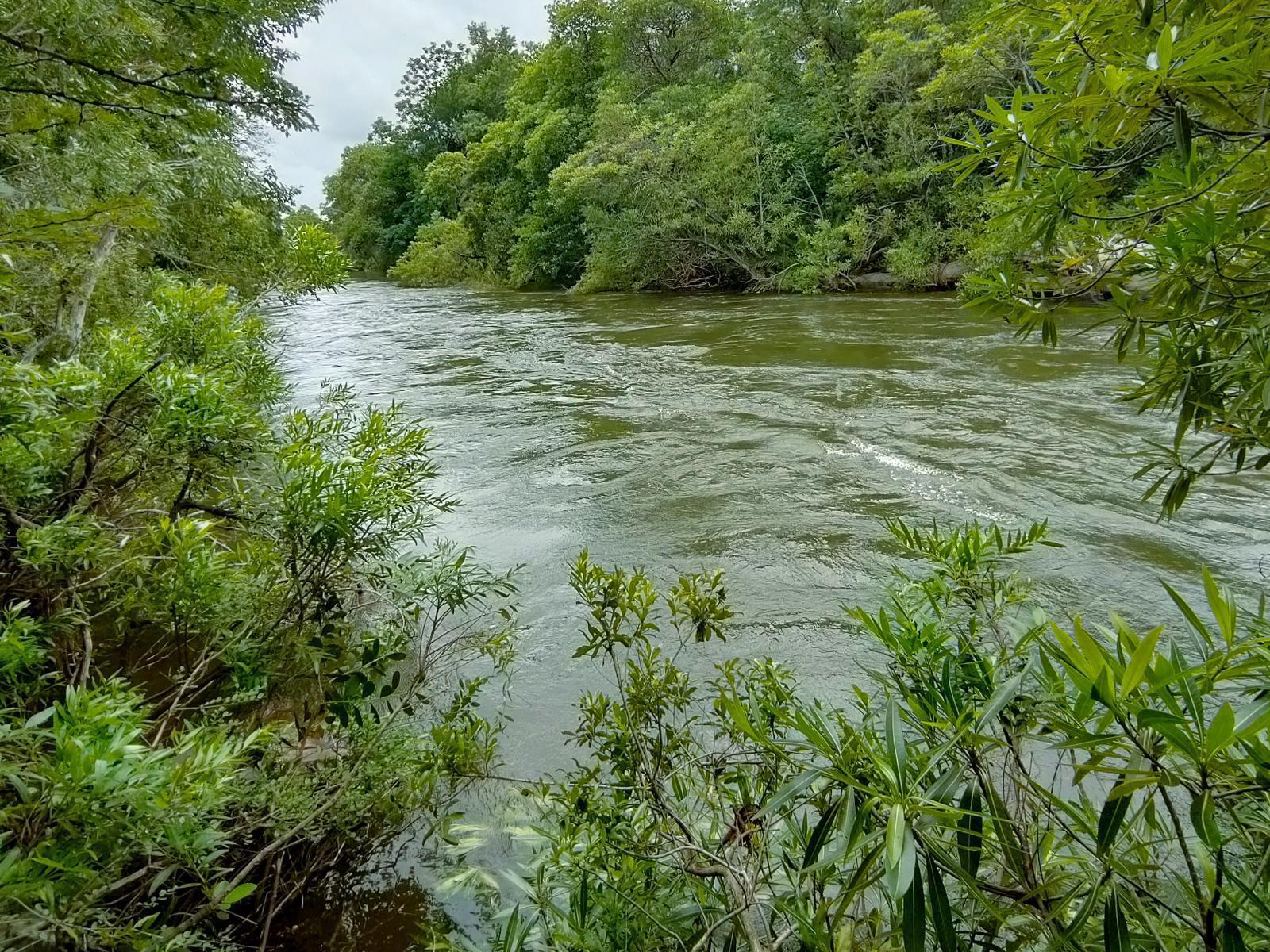 River view