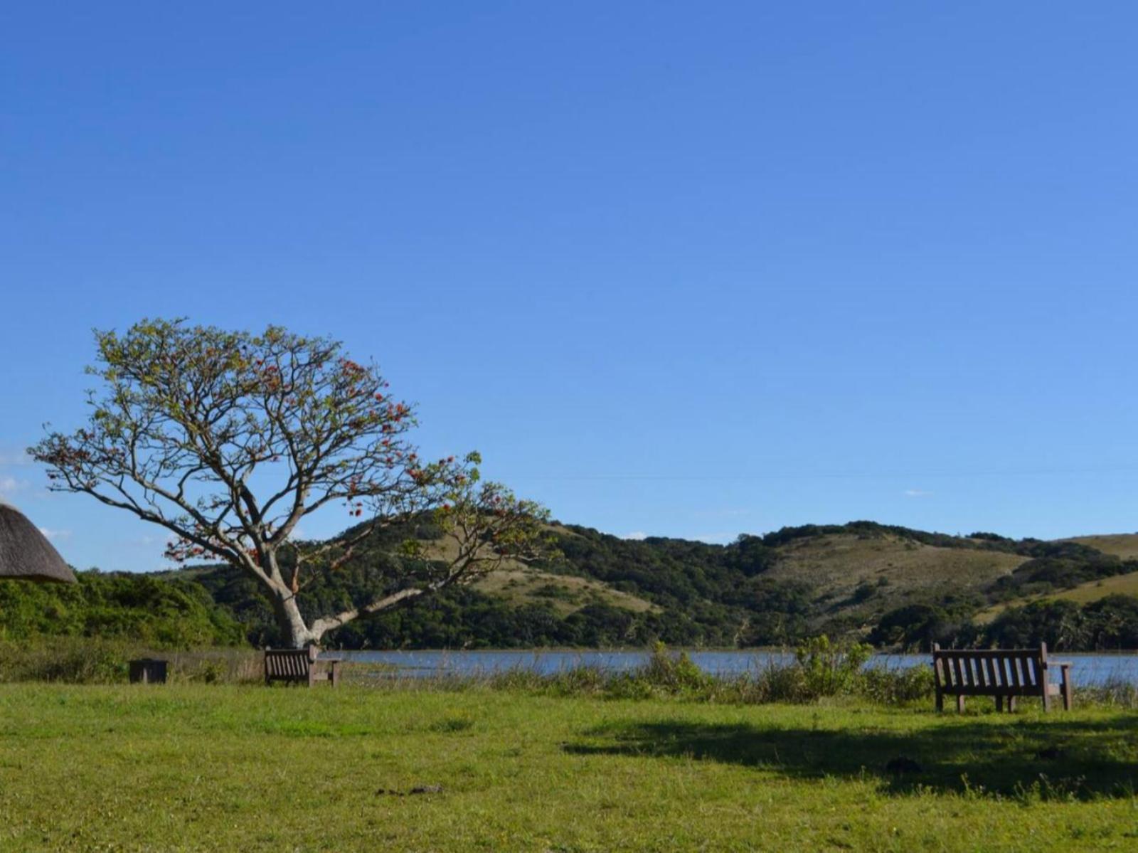 Natural landscape
