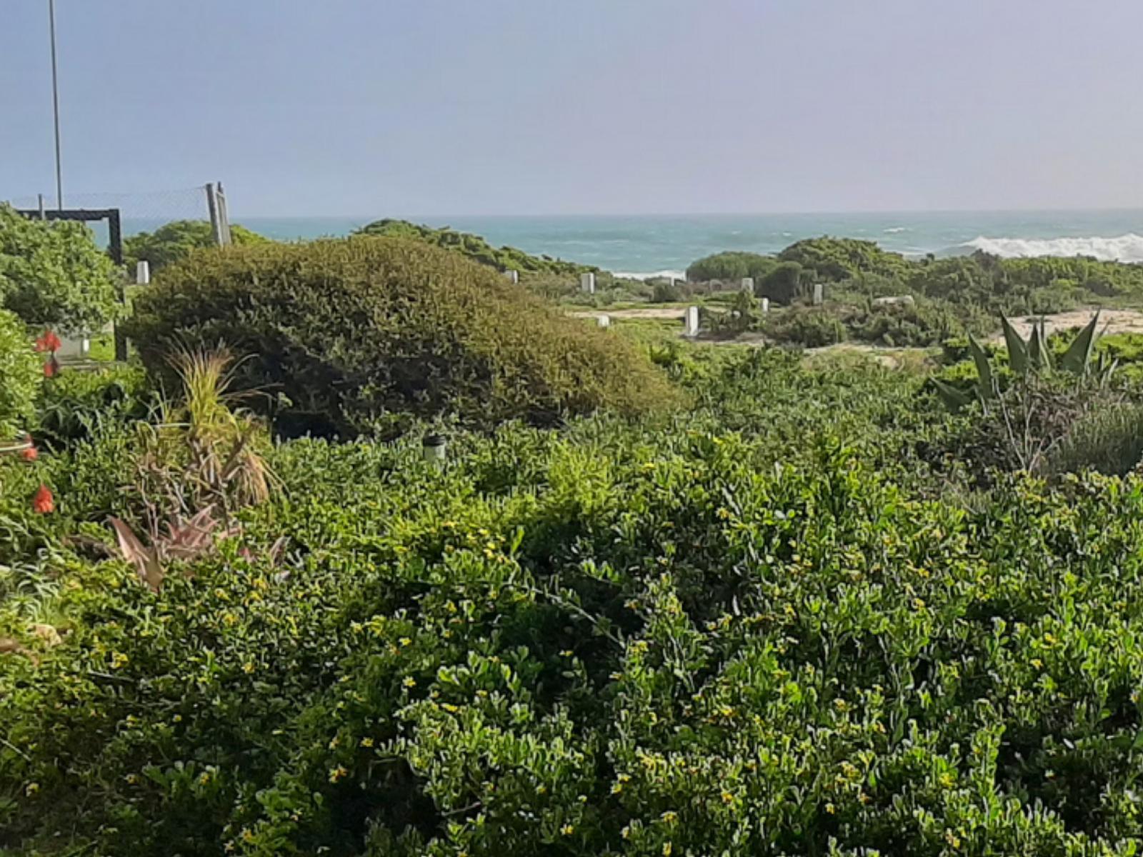 Sea view